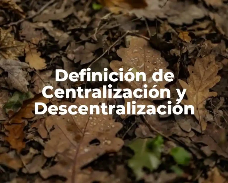 Definición de Centralización y Descentralización