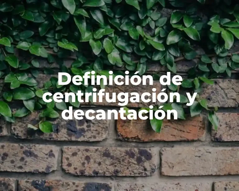 Definición de centrifugación y decantación
