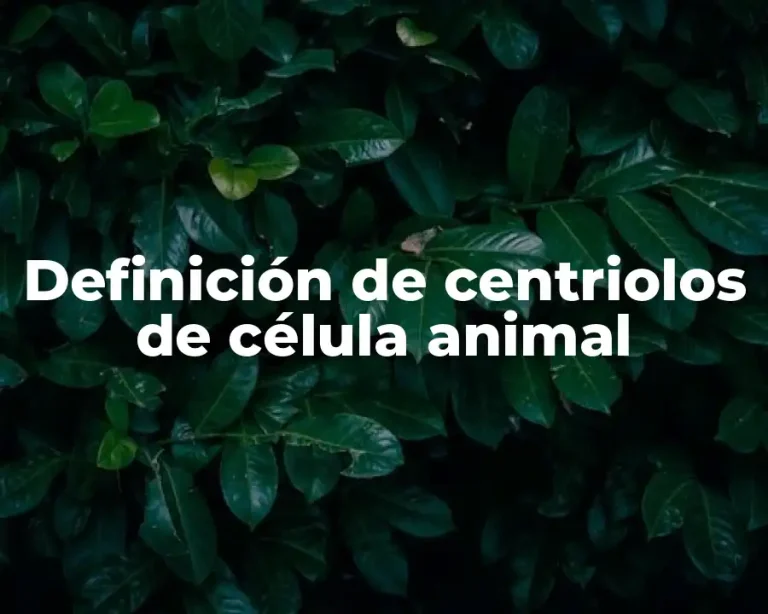 Definición de centriolos de célula animal