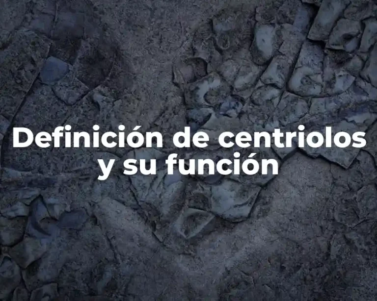 Definición de centriolos y su función