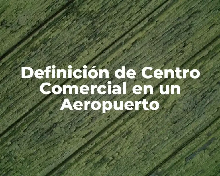 Definición de Centro Comercial en un Aeropuerto