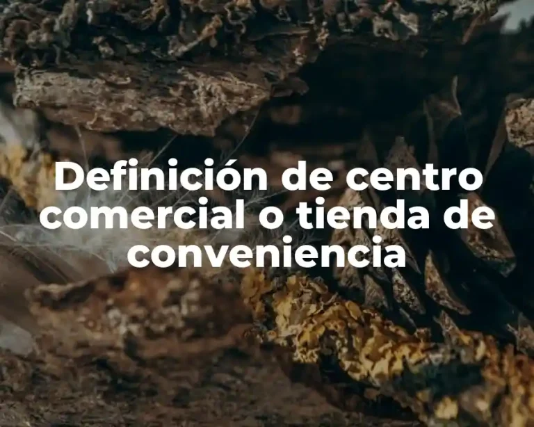 Definición de centro comercial o tienda de conveniencia