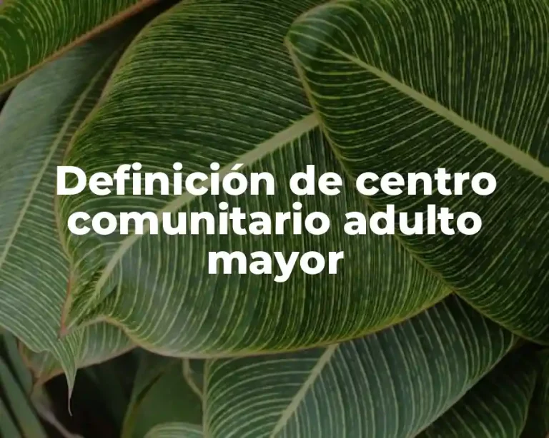 Definición de centro comunitario adulto mayor