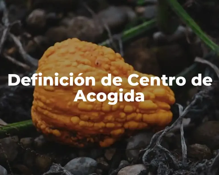 Definición de Centro de Acogida