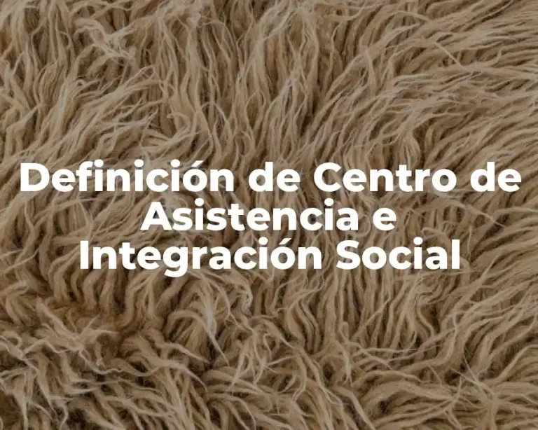 Definición de Centro de Asistencia e Integración Social
