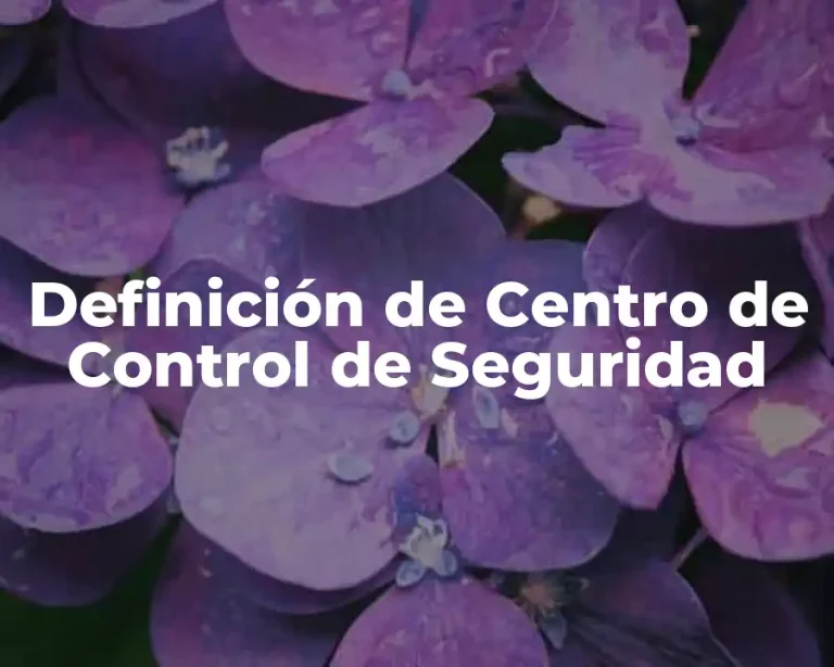 Definición de Centro de Control de Seguridad