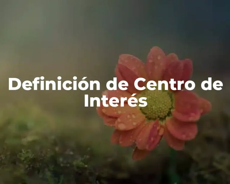 Definición de Centro de Interés