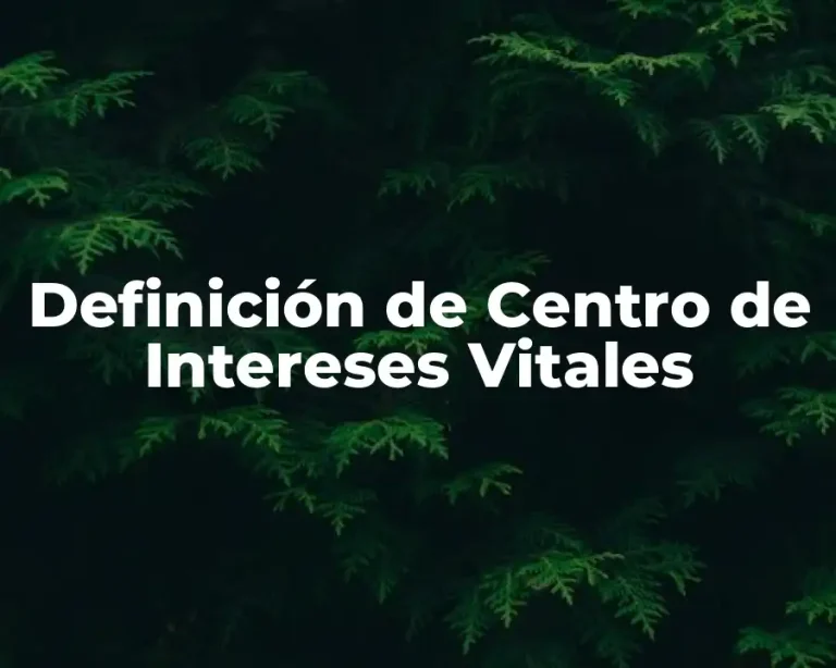 Definición de Centro de Intereses Vitales