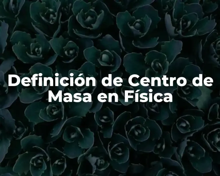 Definición de Centro de Masa en Física