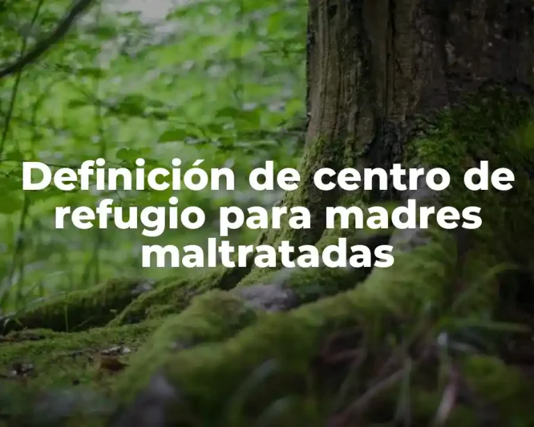 Definición de centro de refugio para madres maltratadas