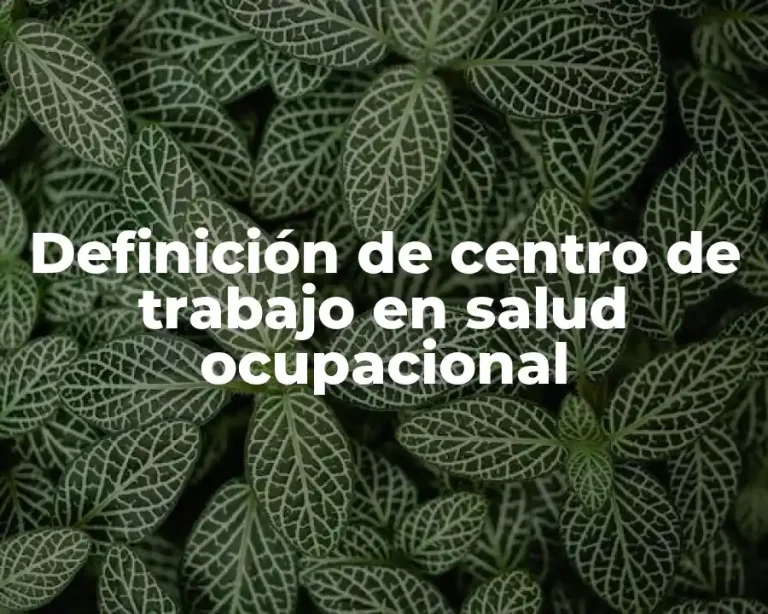 Definición de centro de trabajo en salud ocupacional