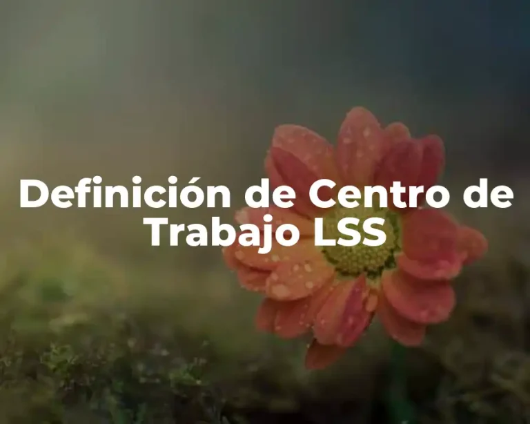 Definición de Centro de Trabajo LSS