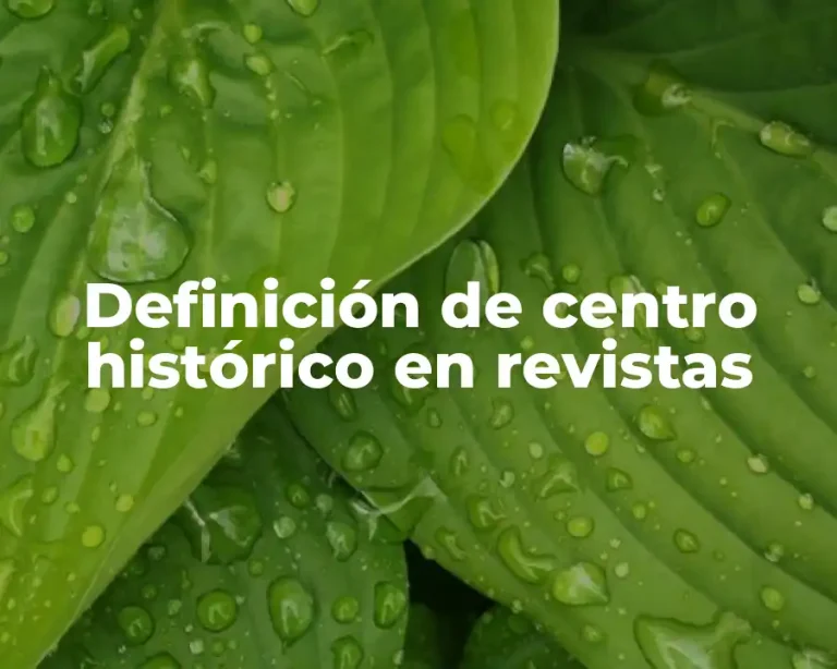 Definición de centro histórico en revistas