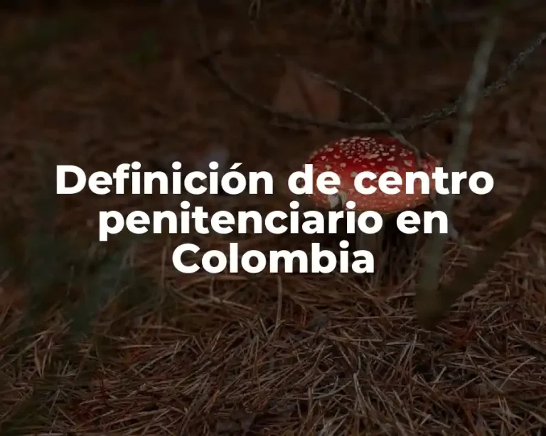 Definición de centro penitenciario en Colombia