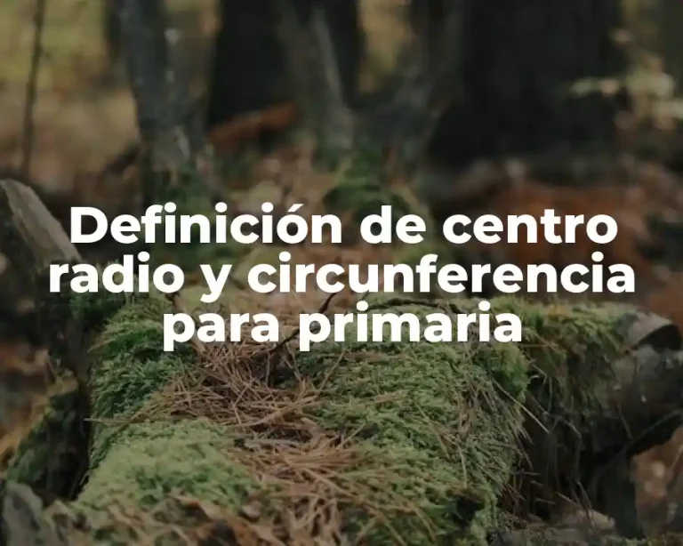 Definición de centro radio y circunferencia para primaria