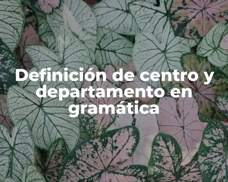 Definición de centro y departamento en gramática