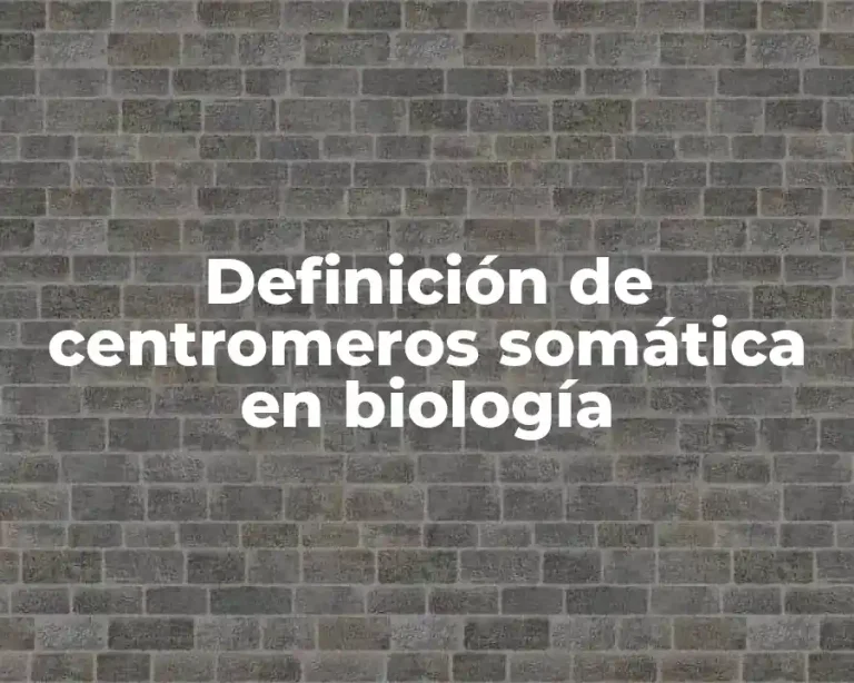 Definición de centromeros somática en biología