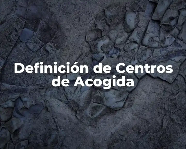 Definición de Centros de Acogida