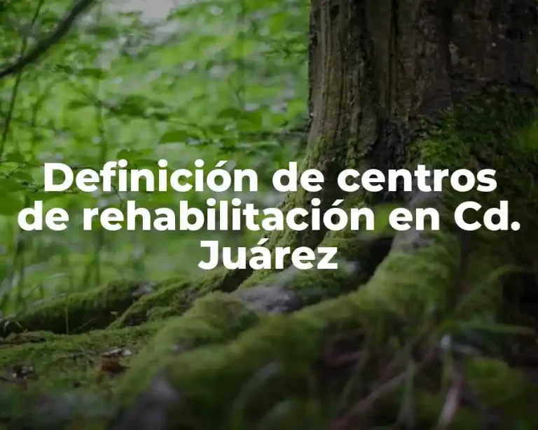 Definición de centros de rehabilitación en Cd. Juárez