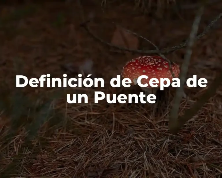 Definición de Cepa de un Puente