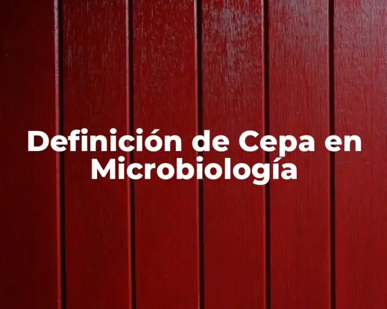 Definición de Cepa en Microbiología
