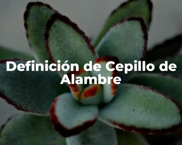 Definición de Cepillo de Alambre