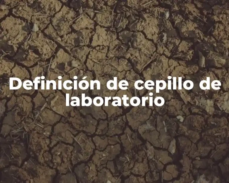 Definición de cepillo de laboratorio