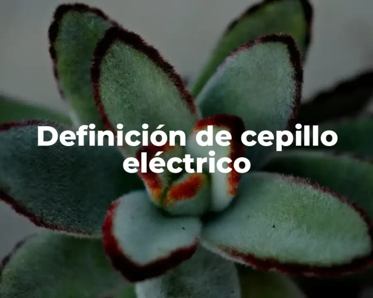Definición de cepillo eléctrico
