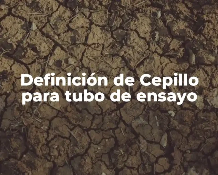 Definición de Cepillo para tubo de ensayo