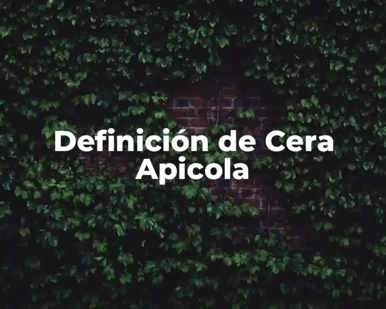 Definición de Cera Apicola
