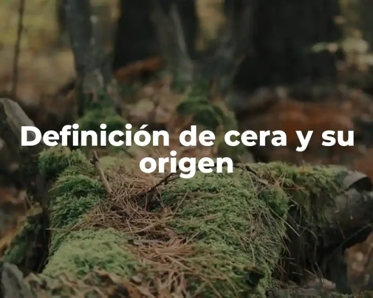Definición de cera y su origen