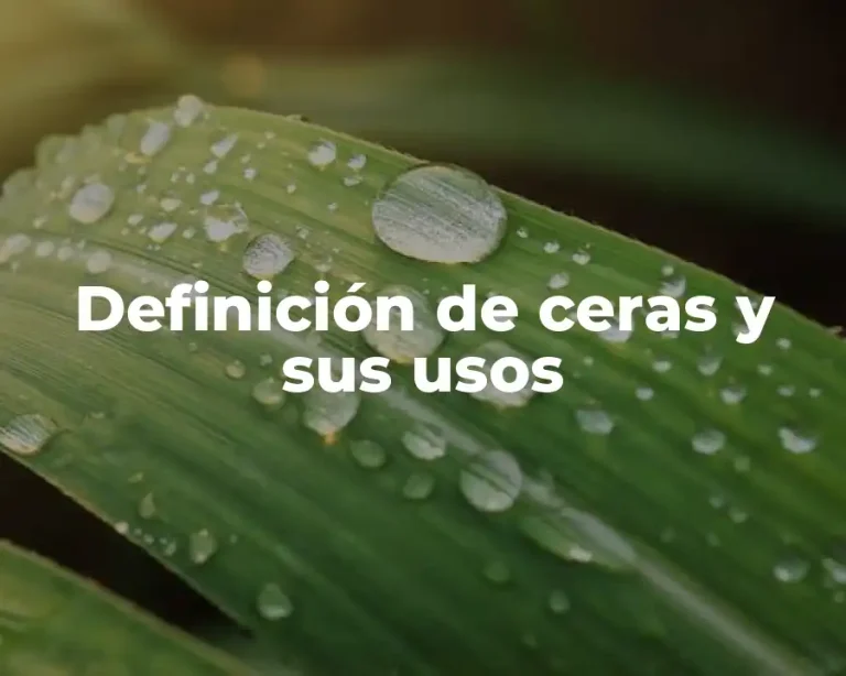 Definición de ceras y sus usos