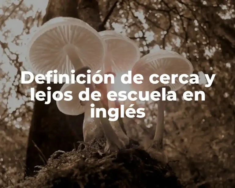Definición de cerca y lejos de escuela en inglés
