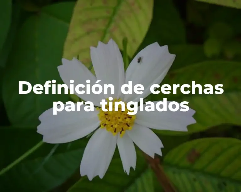 Definición de cerchas para tinglados