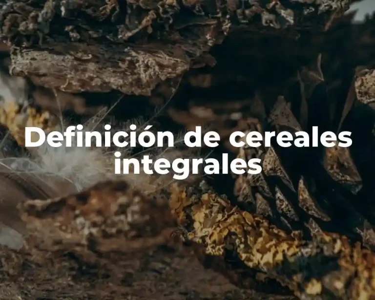 Definición de cereales integrales