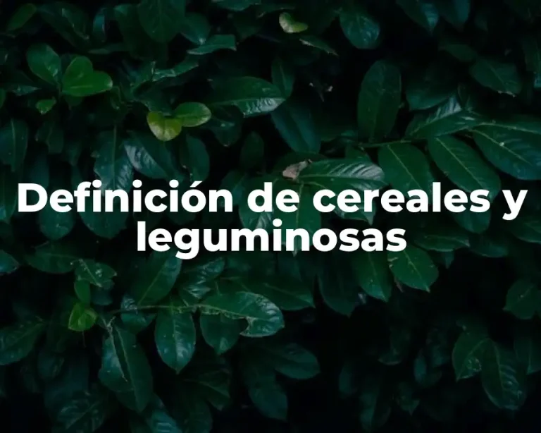 Definición de cereales y leguminosas
