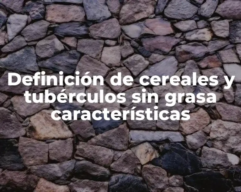 Definición de cereales y tubérculos sin grasa características