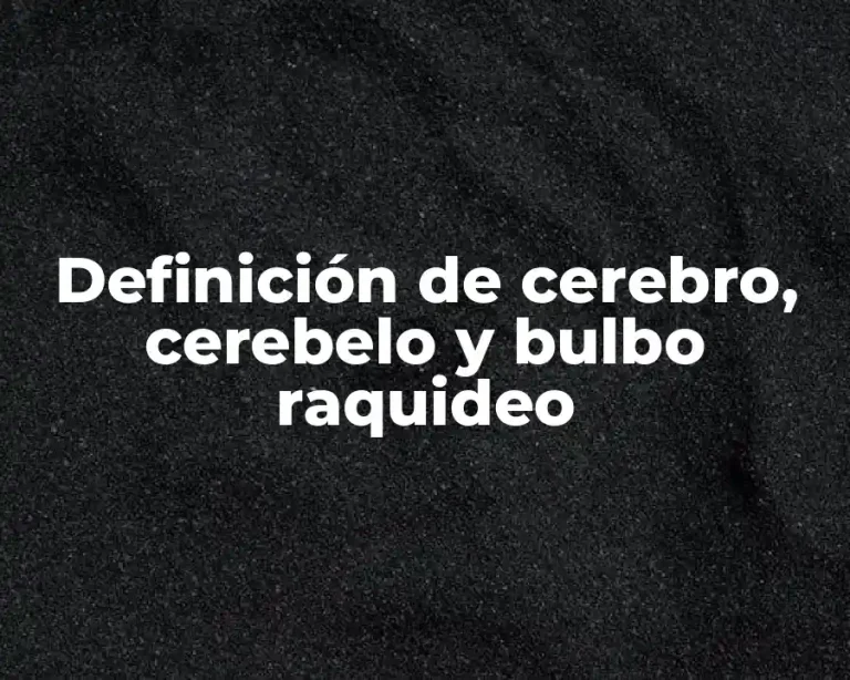 Definición de cerebro, cerebelo y bulbo raquideo