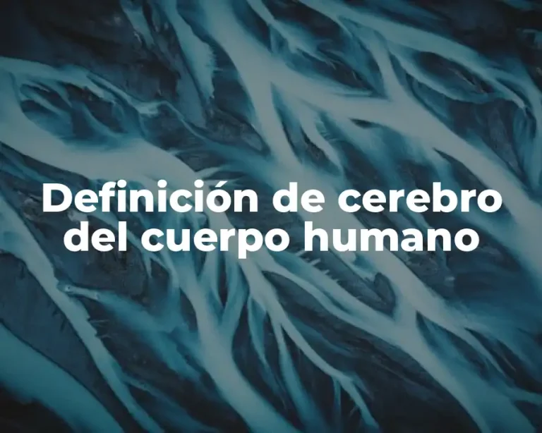 Definición de cerebro del cuerpo humano