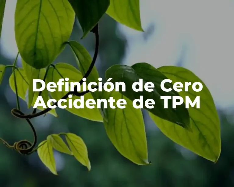 Definición de Cero Accidente de TPM