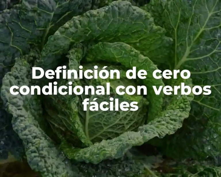 Definición de cero condicional con verbos fáciles