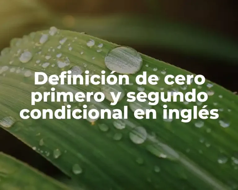 Definición de cero primero y segundo condicional en inglés