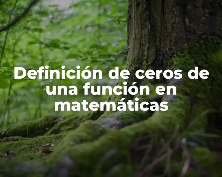 Definición de ceros de una función en matemáticas