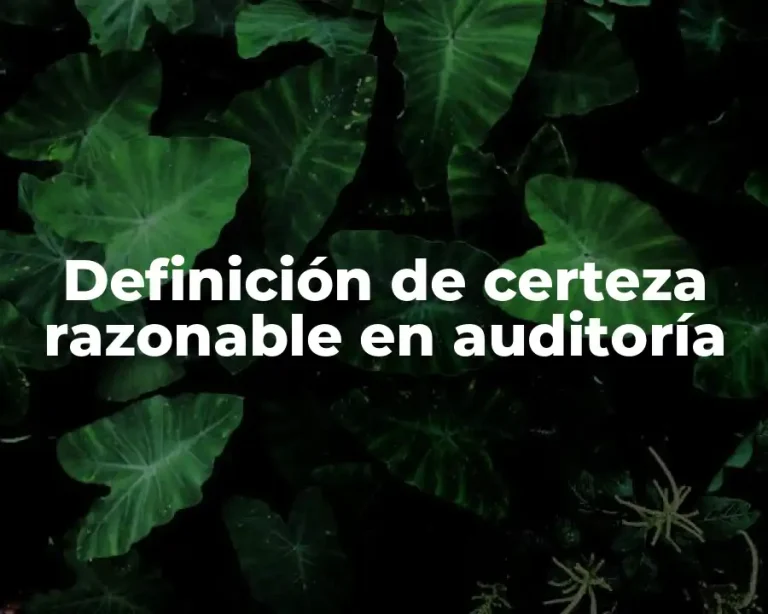 Definición de certeza razonable en auditoría