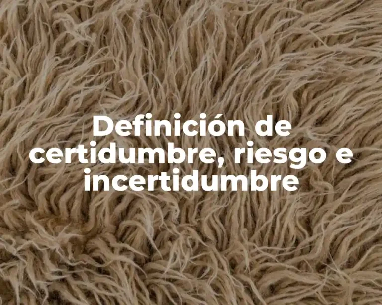 Definición de certidumbre, riesgo e incertidumbre