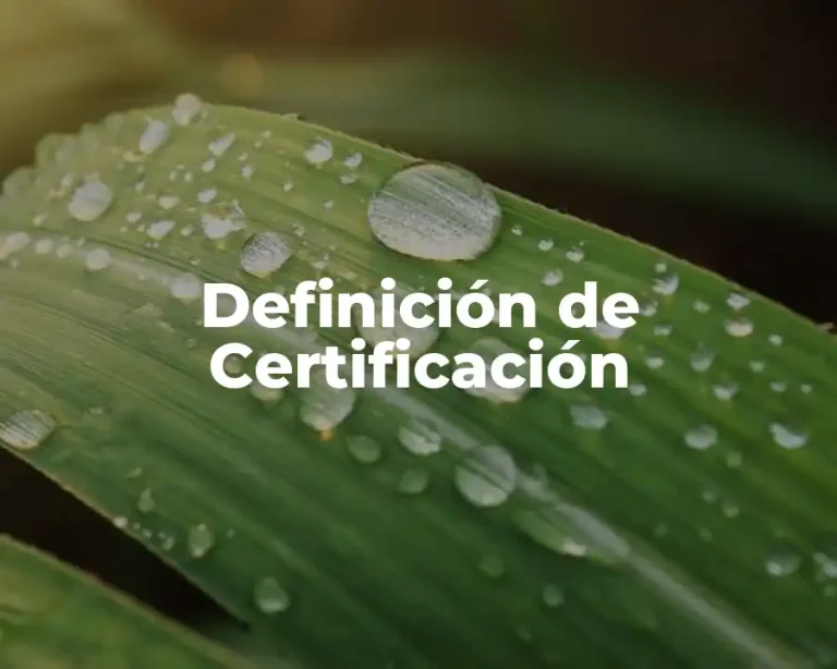Definición de Certificación