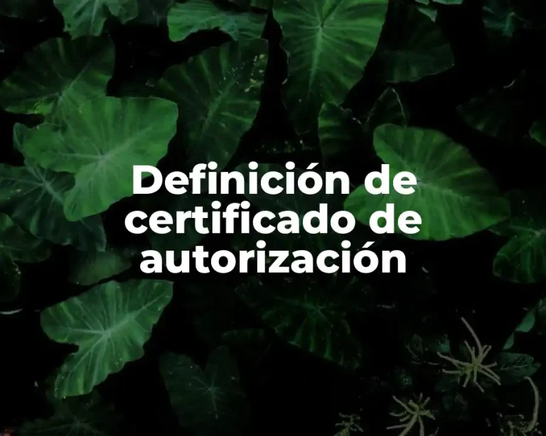 Definición de certificado de autorización
