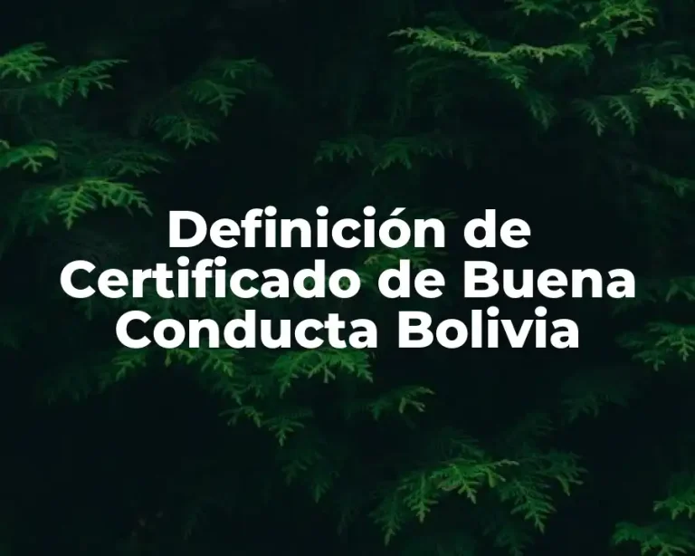 Definición de Certificado de Buena Conducta Bolivia