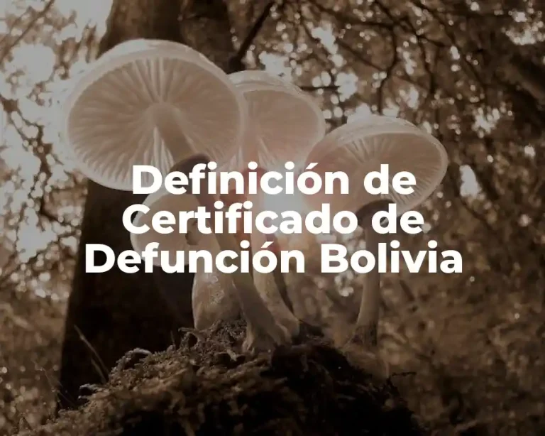 Definición de Certificado de Defunción Bolivia