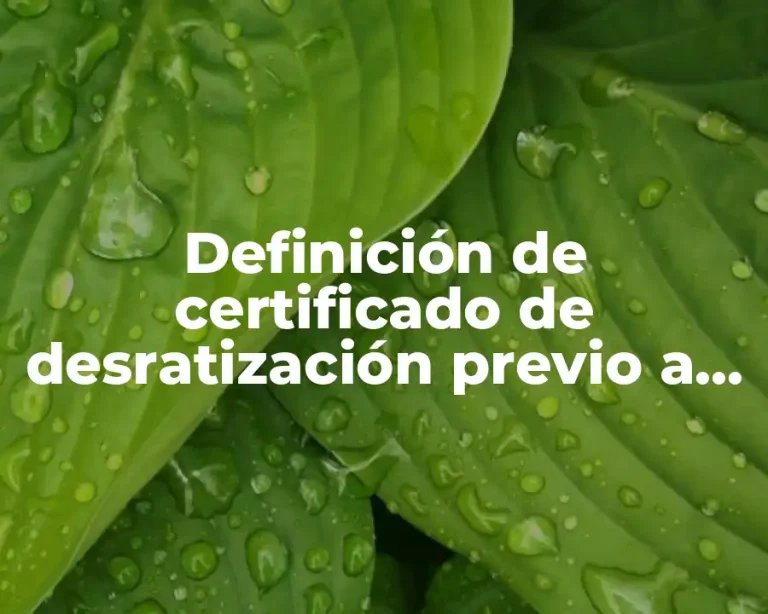 Definición de certificado de desratización previo a demolicion